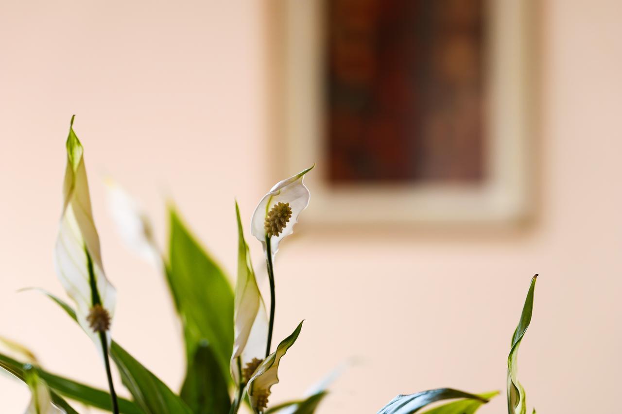 Il Castellaro Bed & Breakfast Borghi Exterior foto